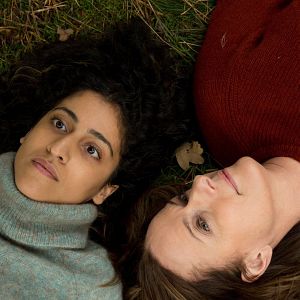 Bilder Immer der Nase nach