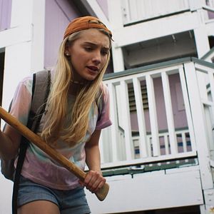 Bilder Die Insel der Delfine