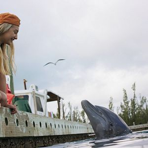 Bilder Die Insel der Delfine