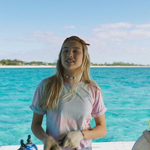 Bilder Die Insel der Delfine