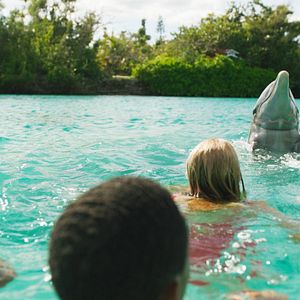 Bilder Die Insel der Delfine