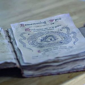 Bilder Medusa - Die Schlangenkönigin