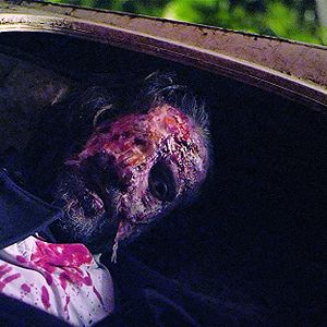 Bilder Medusa - Die Schlangenkönigin