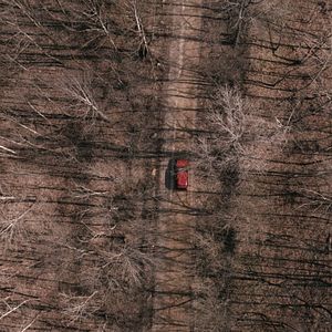 Bilder Hunter's Creek - Gefährliche Beute