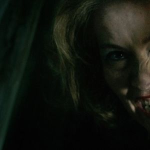 Bilder The Village In The Woods