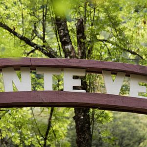 Bilder Monte Verità