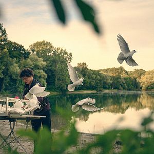 Bilder König der Raben