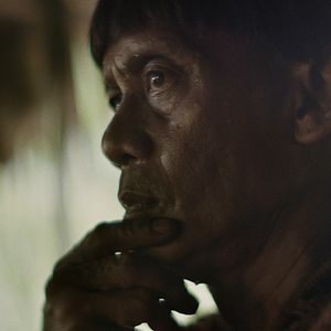 Bilder Im Herzen des Dschungels