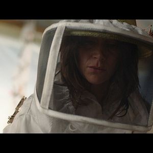 Bilder Schwarm der Schrecken