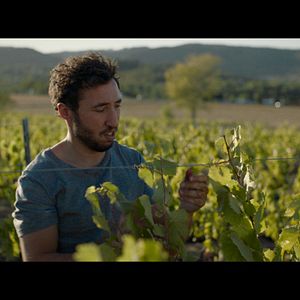 Bilder Schwarm der Schrecken