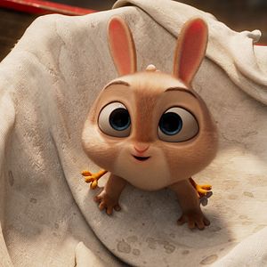 Bilder Hühnerhase und der Hamster der Finsternis