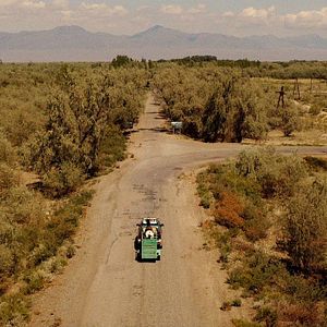 Bilder Sweetie, You Won't Believe It