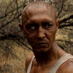 Bilder Sweetie, You Won't Believe It