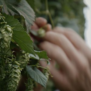 Bilder Bier - A Love Story