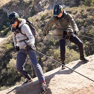 Bilder Animal Kingdom