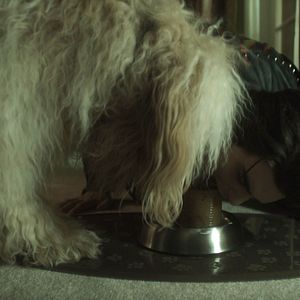 Bilder Brand New Cherry Flavor