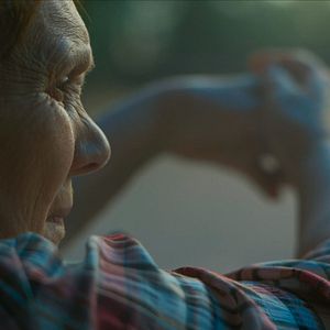 Bilder Their Algeria