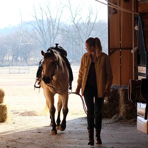 Bilder Der Traum unseres Lebens