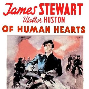 Bilder Of Human Hearts