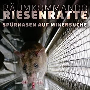 Bilder Räumkommando Riesenratte - Spürnasen auf Minensuche