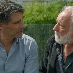 Bilder Schmetterlinge im Ohr