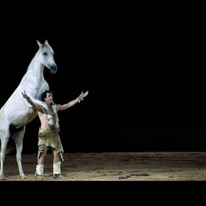 Bilder Ein Pferd namens Gazelle