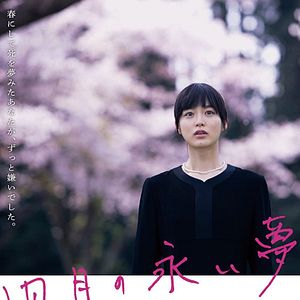 Bilder Summer Blooms