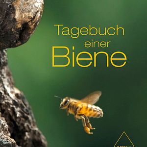 Bilder Tagebuch einer Biene