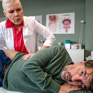 Bilder Es ist nur eine Phase, Hase