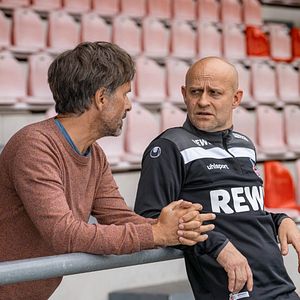 Bilder Es ist nur eine Phase, Hase