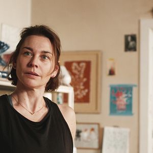 Bilder Es ist nur eine Phase, Hase