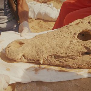 Bilder Tal der Könige: Ägyptens verlorene Schätze