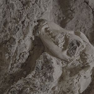 Bilder Tal der Könige: Ägyptens verlorene Schätze