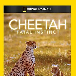 Bilder Cheetah: Fatal Instinct