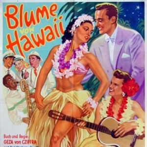 Bilder Die Blume von Hawaii
