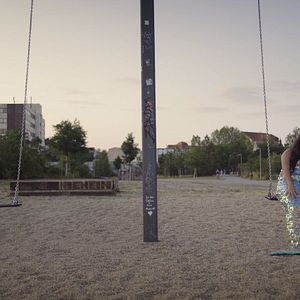 Bilder Meine Wunderkammern