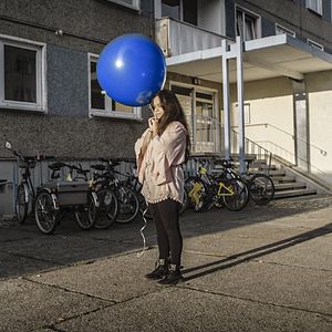 Bilder Meine Wunderkammern