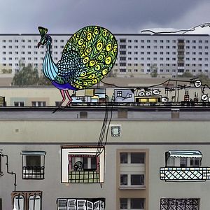 Bilder Meine Wunderkammern