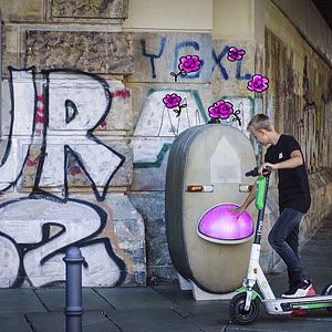 Bilder Meine Wunderkammern