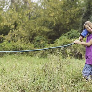 Bilder Meine Wunderkammern