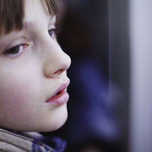 Bilder Meine Wunderkammern