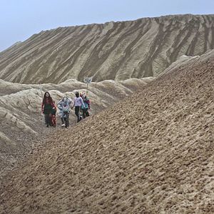 Bilder Meine Wunderkammern