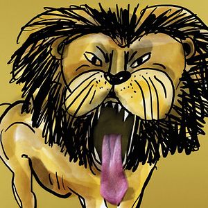 Bilder Meine Wunderkammern