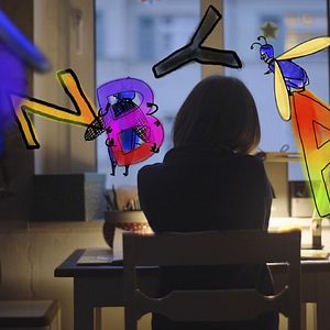 Bilder Meine Wunderkammern