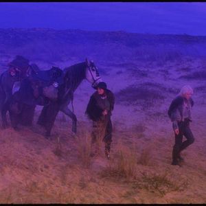 Bilder After Blue (Paradis sale)