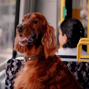 Bilder Notes Of Berlin