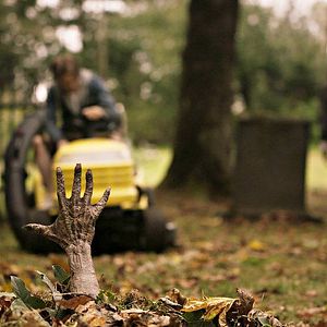 Bilder Day Of The Dead