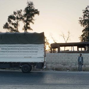 Bilder Le Traducteur