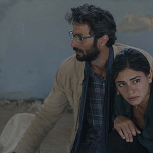 Bilder Le Traducteur