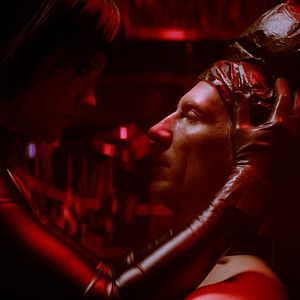 Bilder Dogs Don't Wear Pants